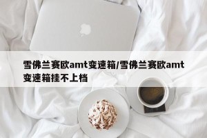 雪佛兰赛欧amt变速箱/雪佛兰赛欧amt变速箱挂不上档